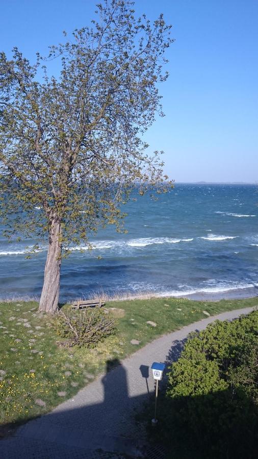 Strandappartement Steinberghaff "Zur Birk" Mit Meerblick Steinberg  Esterno foto
